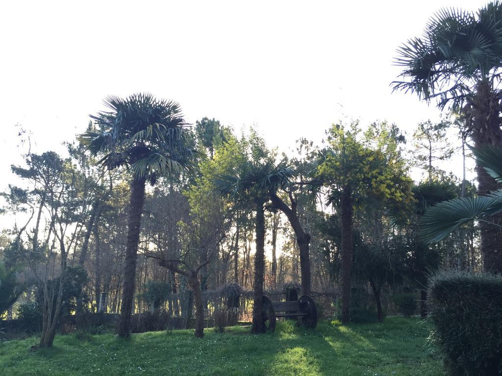 Agro da Gandarela Bed & Breakfast Teo Bagian luar foto