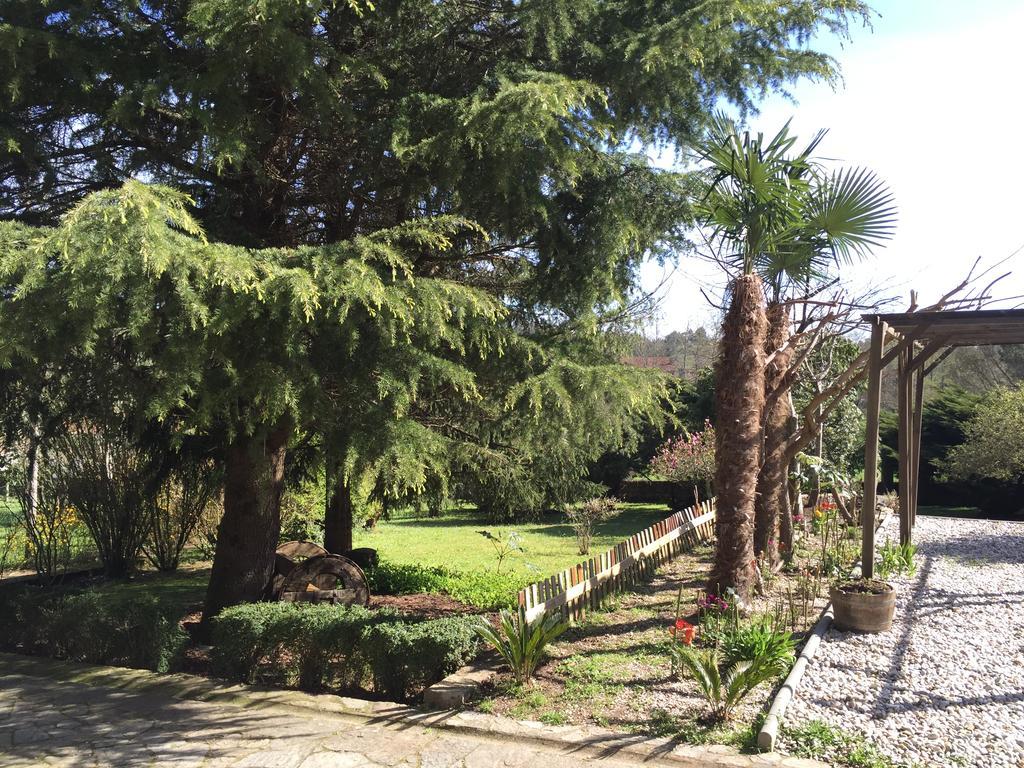 Agro da Gandarela Bed & Breakfast Teo Bagian luar foto