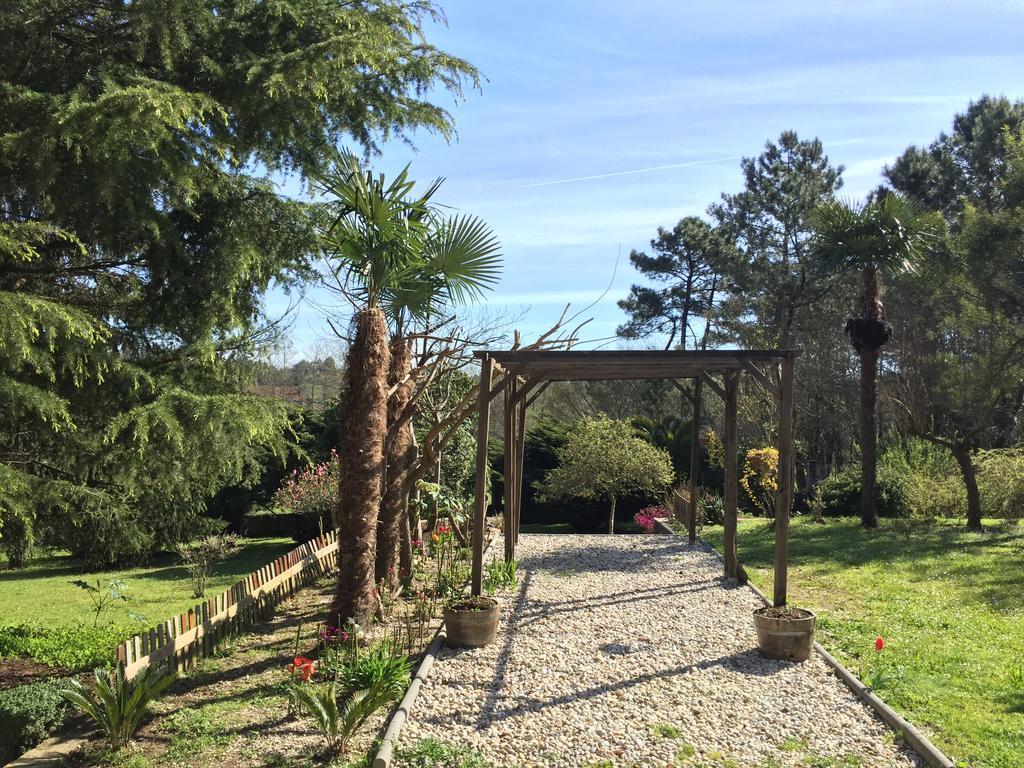 Agro da Gandarela Bed & Breakfast Teo Bagian luar foto